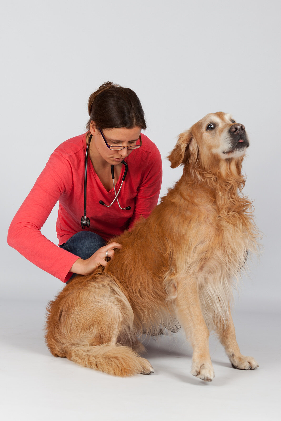 Akupunktur beim Hund 2